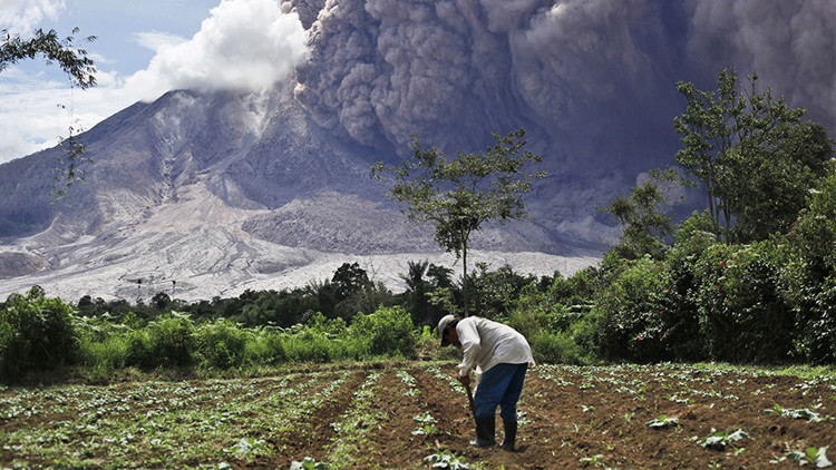 مزارع إندونيسي يحرث الأرض على خلفية ثوران بركان في جزيرة سومطرة