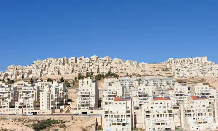 اخبار فلسطين 