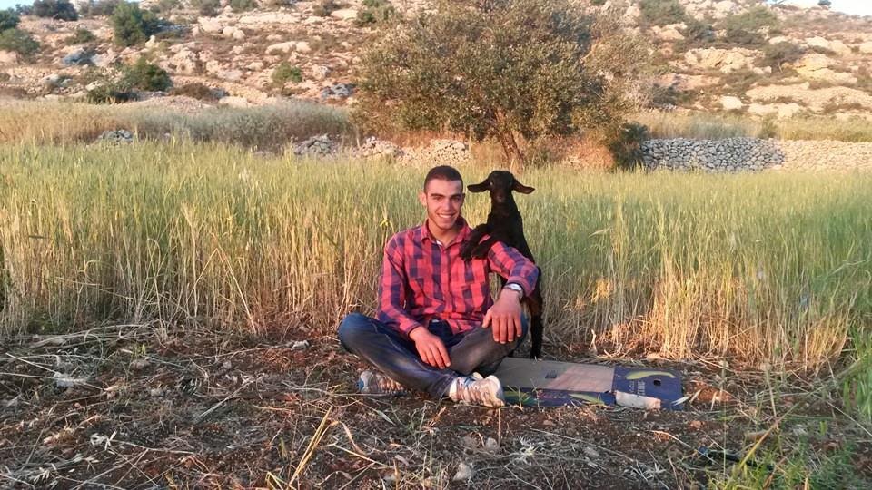 اعتقال شاب من سلواد