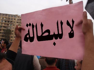 منظمة العمل العربية: إرتفاع البطالة لـ 20 مليون شخص البطالة