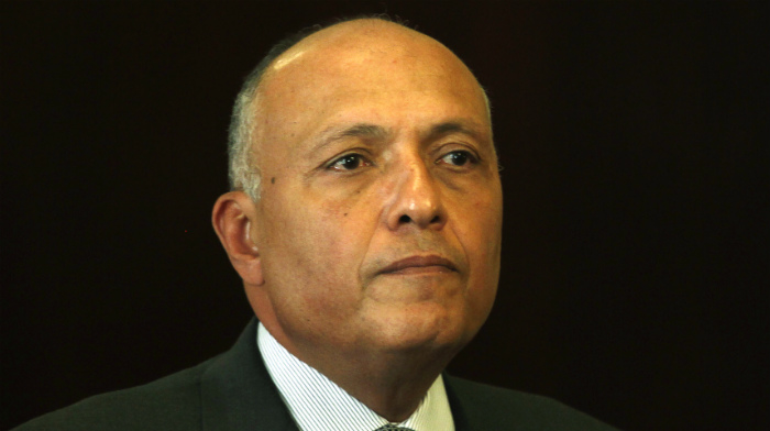 شكري: منفتحون على التعاون مع إسرائيل إسرائيل