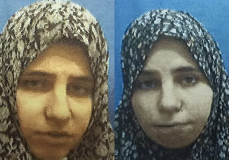 صورة التوأم