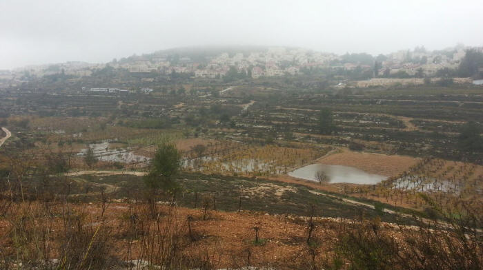 الإذاعة العبرية: فلسطينيون يقطعون الكهرباء عن غوش عتصيون فلسطينيون