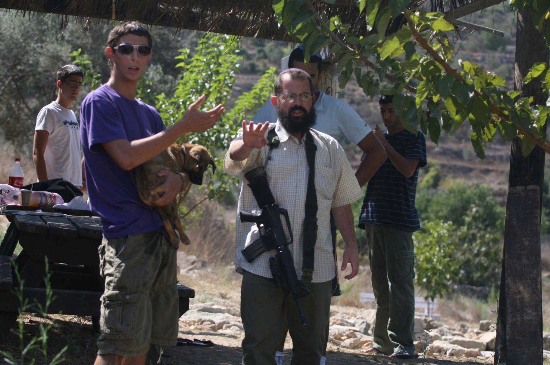 مستوطنون يقطعون أشجار زيتون ولوزيات جنوب الخليل