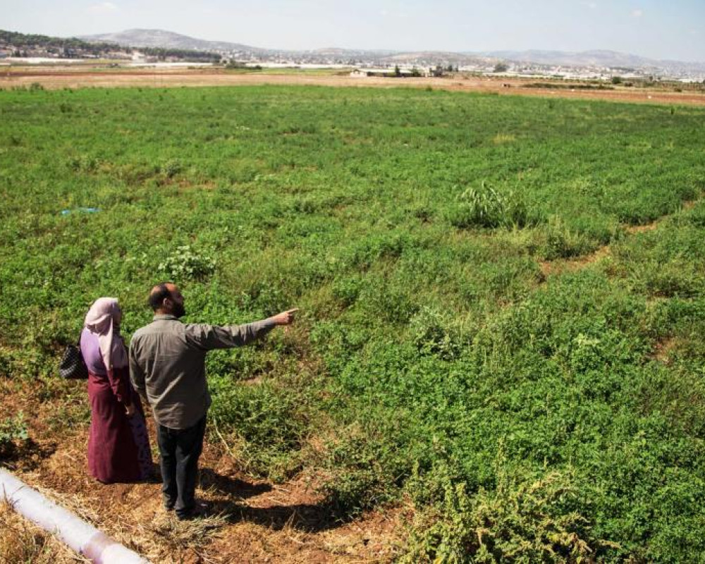 سلطة الأراضي تُصادق على 16 حوض تسوية في الخليل وبيت لحم وتصدر 1280 سند تسجيل