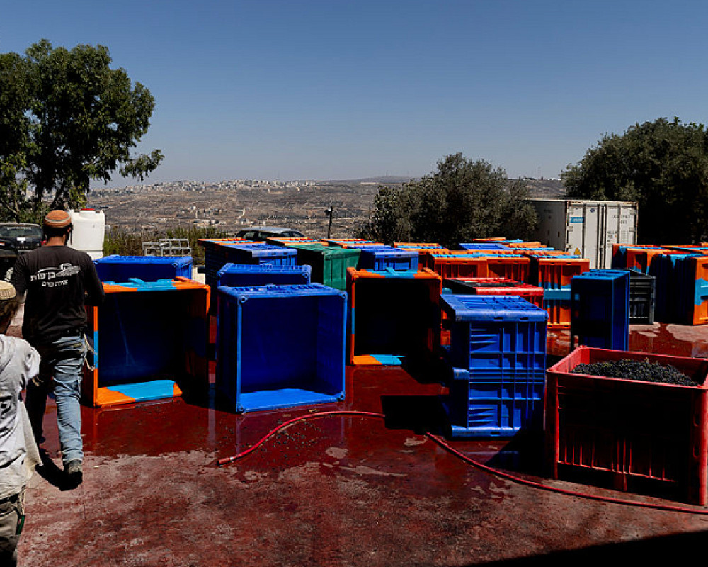 المزارع الاستيطانية بالضفة الغربية تستولي على أكثر من 1.1 مليون دونم في المناطق C