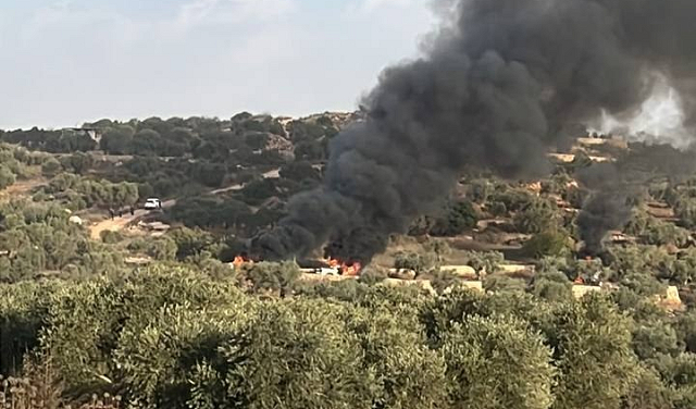 مستوطنون يحرقون 3 مركبات في ترمسعيا ويهاجمون قاطفي زيتون في أبو فلاح وبرقة