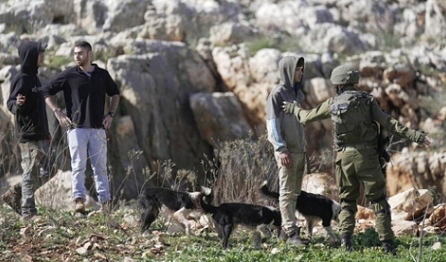 تقديرات إسرائيلية: احتمالات منخفضة لتراجُع واشنطن عن العقوبات الوشيكة على كتيبة "نيتساح يهودا"