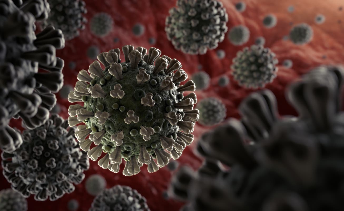 كيف تعزز جهاز المناعة لديك لتجنب فيروس كورونا؟