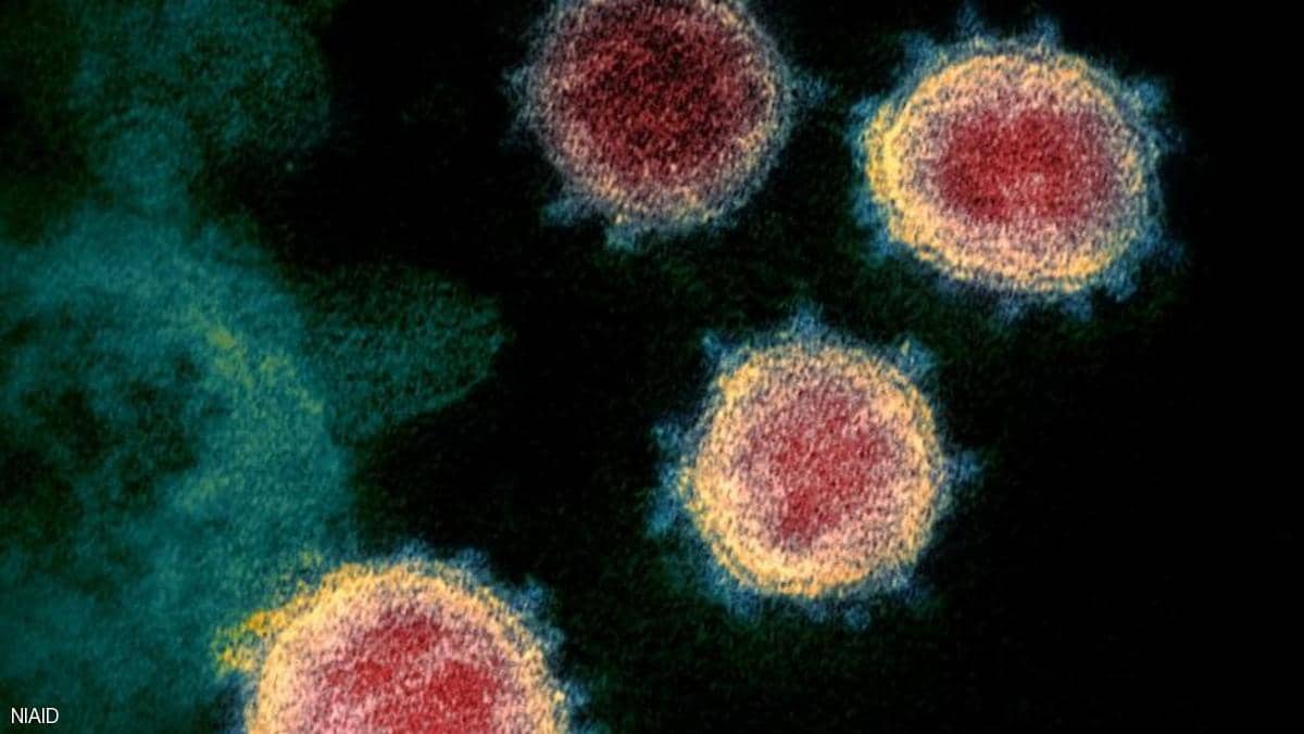 دراسة جديدة تكشف "عُمر فيروس كورونا" في الهواء وعلى الأسطح