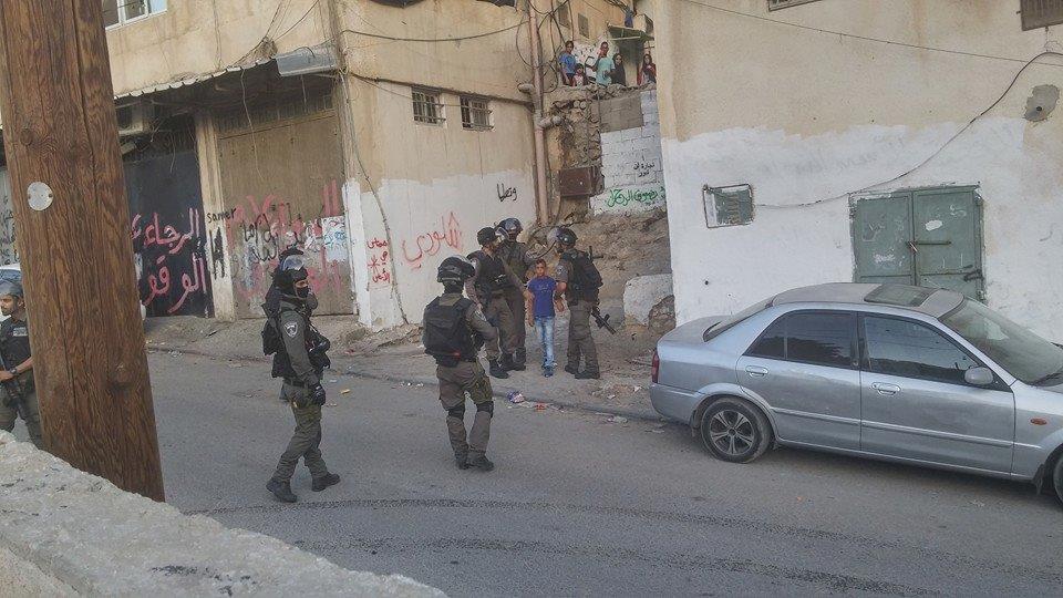  الاحتلال يعتقل فتية من سلوان بالقدس الاحتلال يعتقل فتية من سلوان بالقدس