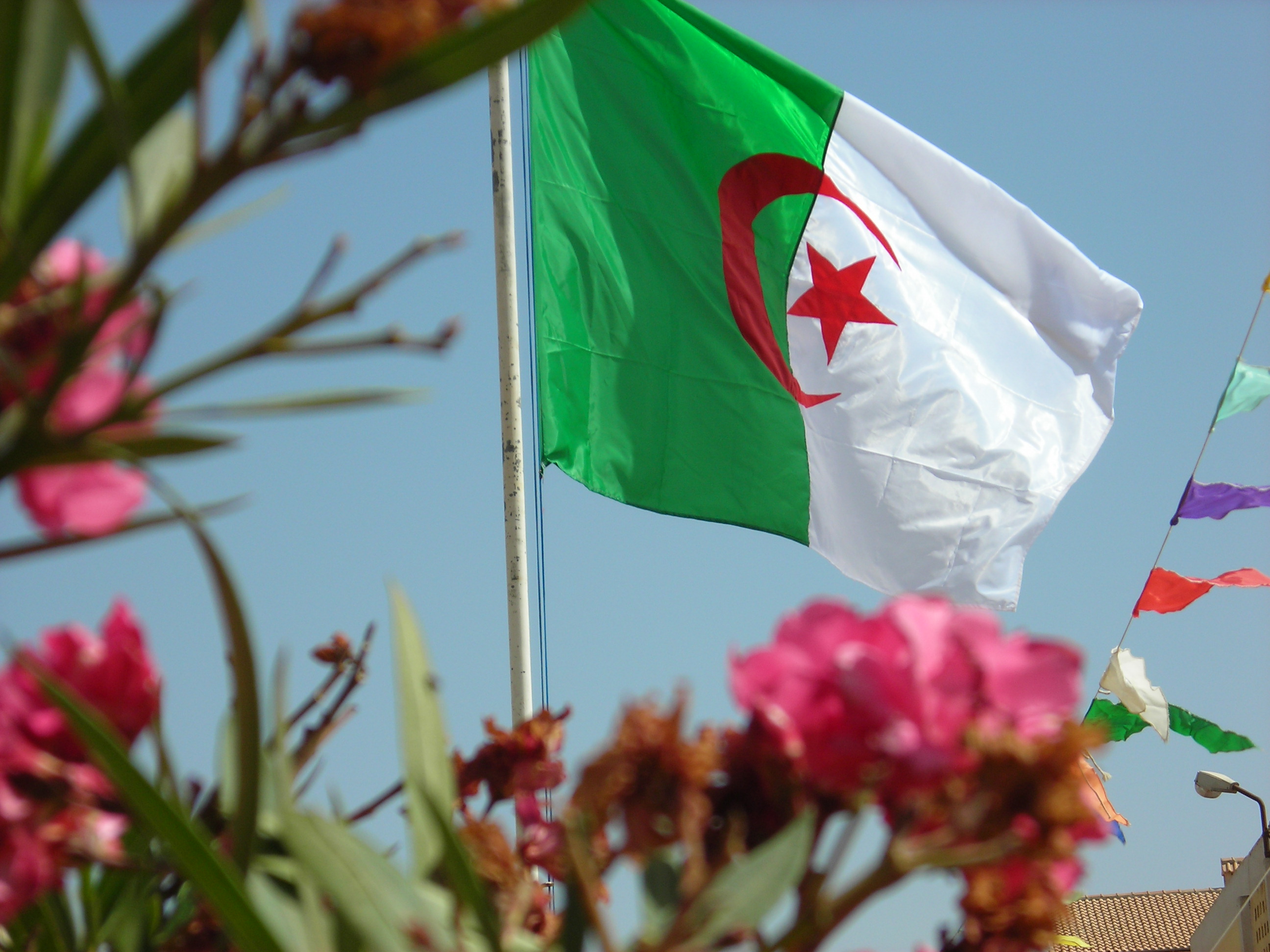 الخارجية الجزائرية تستدعي السفير الفرنسي على خلفية أوراق بنما