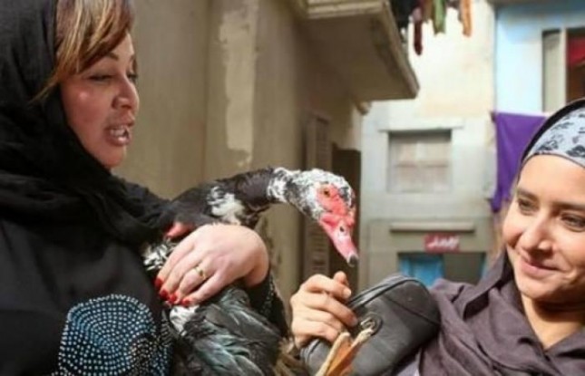 فيلم "يوم الستات" غضب يلحق بالرجال! نيلي كريم والهام شاهين
