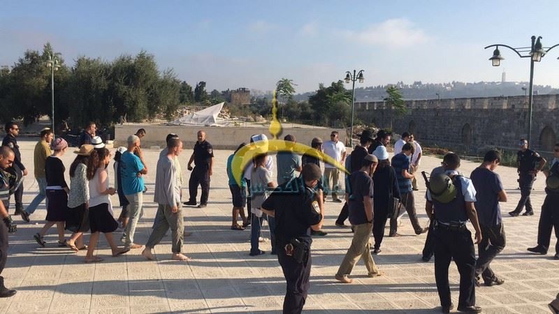 توتر في القدس والأقصى وسط اقتحامات المستوطنين