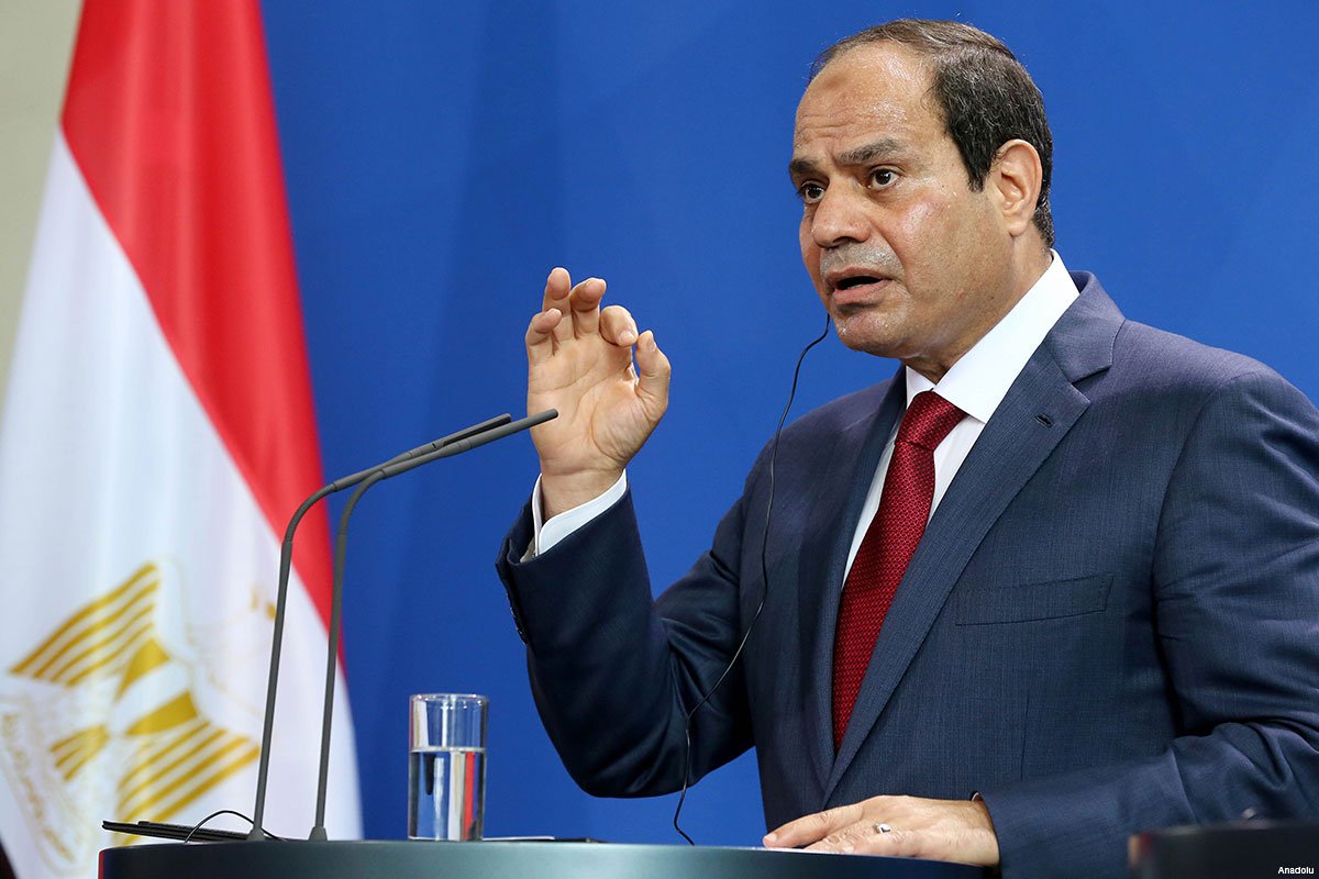 السيسي: السلام بين مصر وإسرائيل سيتحقق بحل القضية الفلسطينية