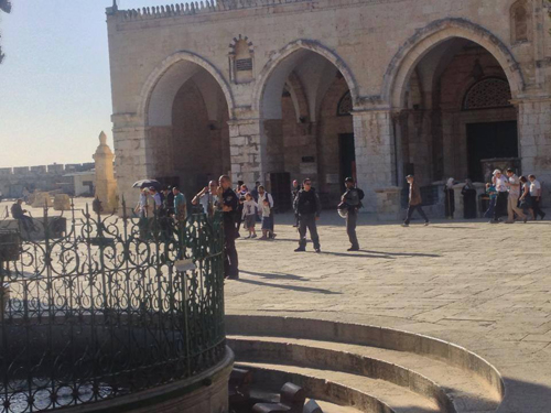 عدسة: راسم عبد الواحد