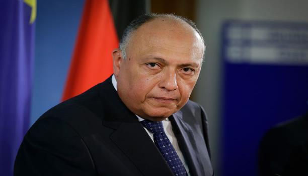 شكري: لا يمكن وصف ممارسات إسرائيل بالإرهاب دون إجماع دولي