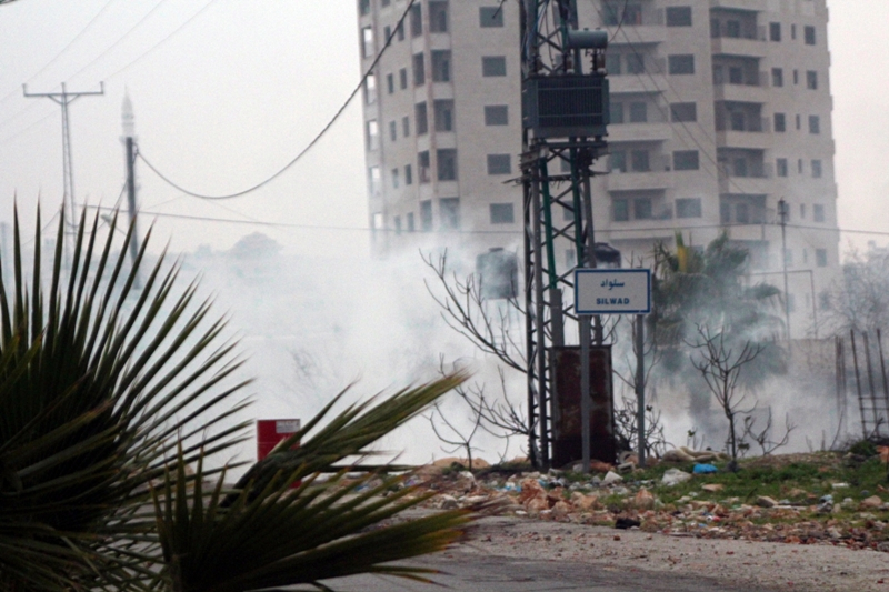 صورة من المكان