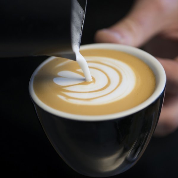 مع شرب كمية معينة يوميا.. دراسة ترصد "فائدة مذهلة" للقهوة