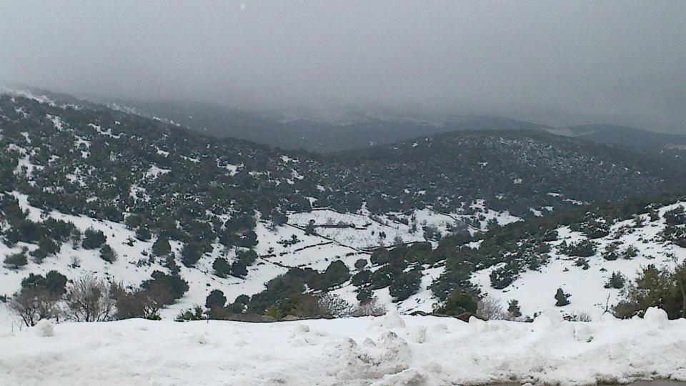 الراصد الجوي 