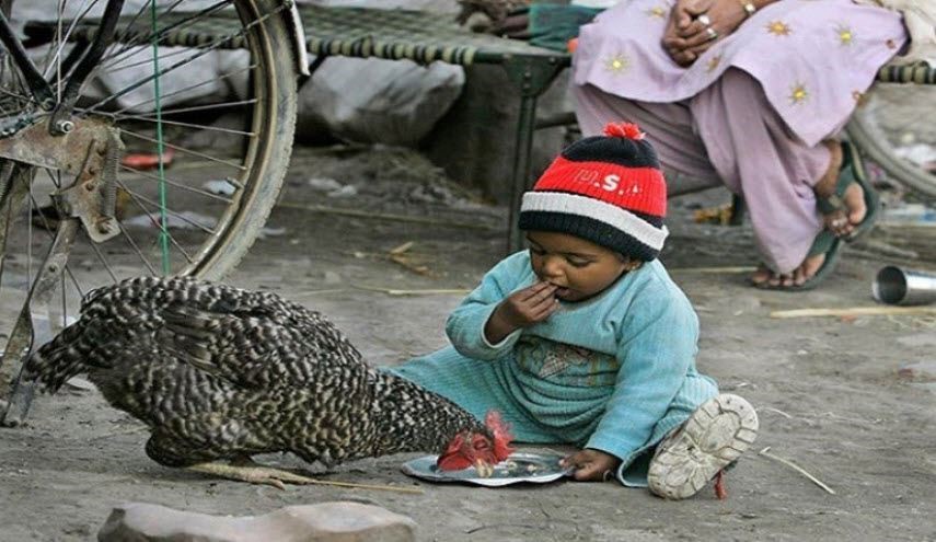 وفاة 17 ألف شخص في ولاية هندية بسبب الجوع صورة تعبيرية