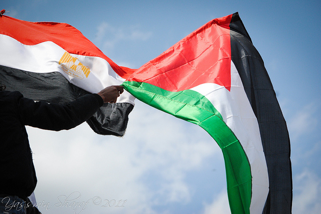 مصر وغزة