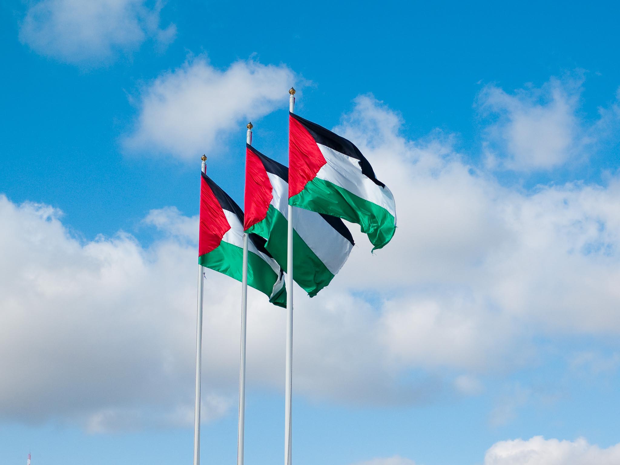 عريقات يطالب بإلغاء قرار منع رفع علم فلسطين في مسابقة غنائية