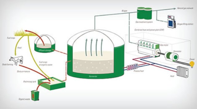 منح رخصة مؤقتة لشركة لتوليد الطاقة الكهربائية باستخدام الغاز الحيوي غاز حيوي