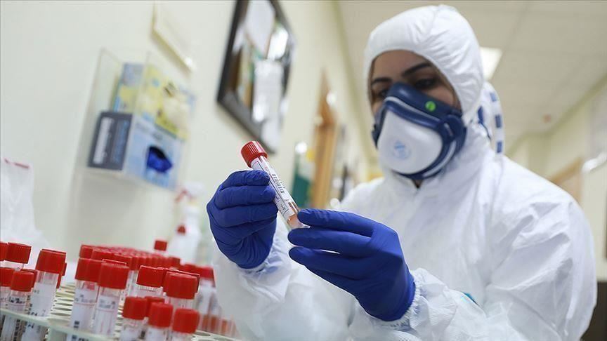 الصحة بغزة: 3 وفيات و229 اصابة جديدة بفيروس كورونا خلال 24 ساعة