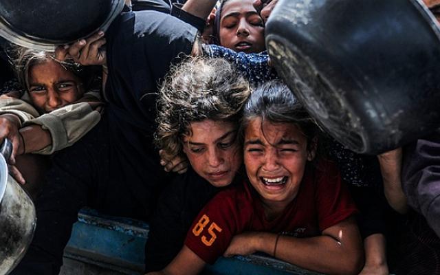 الحرب على غزة: مجزرة في مستشفى ناصر وهجمات مكثفة على النازحين