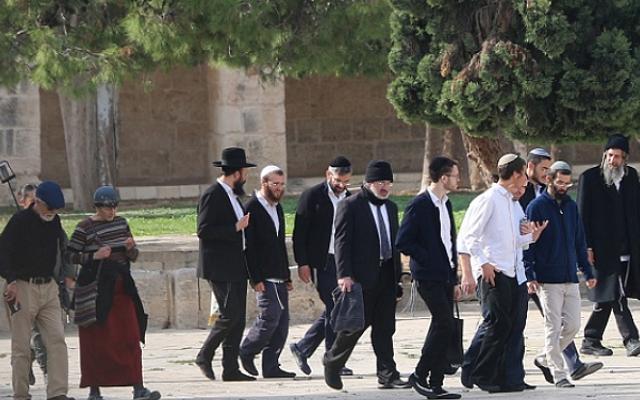 اقتحامات جماعية للمستوطنين للأقصى وساحة البراق بمناسبة عيد "الحانوكا"