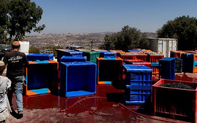 المزارع الاستيطانية بالضفة الغربية تستولي على أكثر من 1.1 مليون دونم في المناطق C