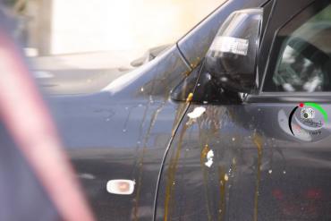 القاء البيض