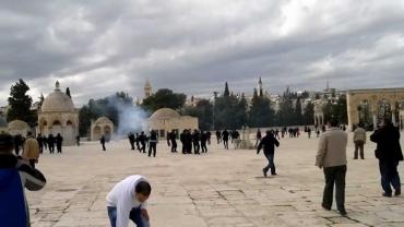 عشرات المستوطنين