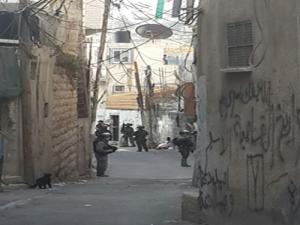 عدسة وفا بسلوان