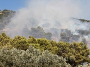 احتراق عشرات الدونمات