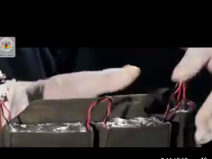 الجهاد الاسلامي
