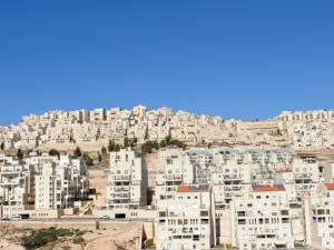 اخبار فلسطين 