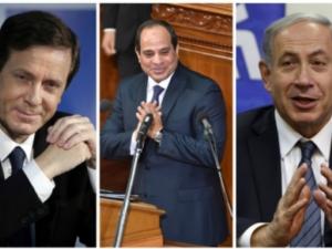 اخبار فلسطين