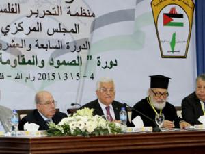 المجلس المركزي