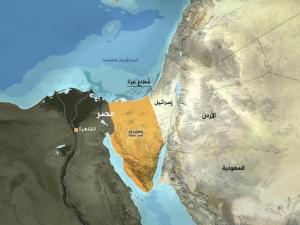 سيناء