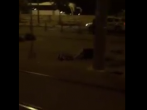 فادي علوان