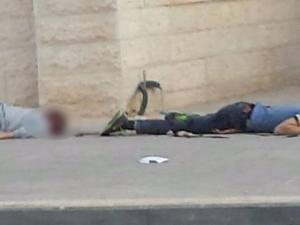 صورة من المكان