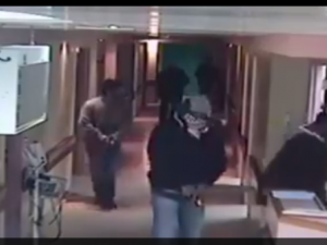 جريمة المستعربين