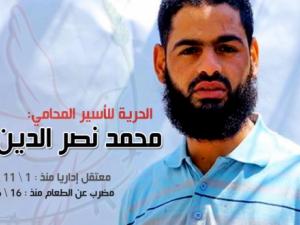 محمد علان