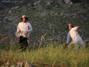 صورة توضيحية