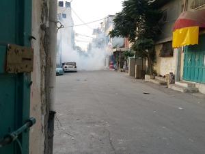 صورة من المكان