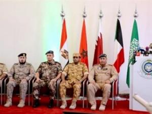 صورة توضيحية