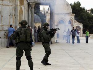 "الإسلامية المسيحية": حملة تهويد واستيطان مسعورة في القدس