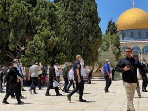 عشرات المستوطنين يقتحمون الأقصى